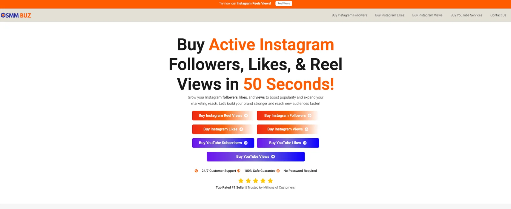 SMMBuz.com Panel Image