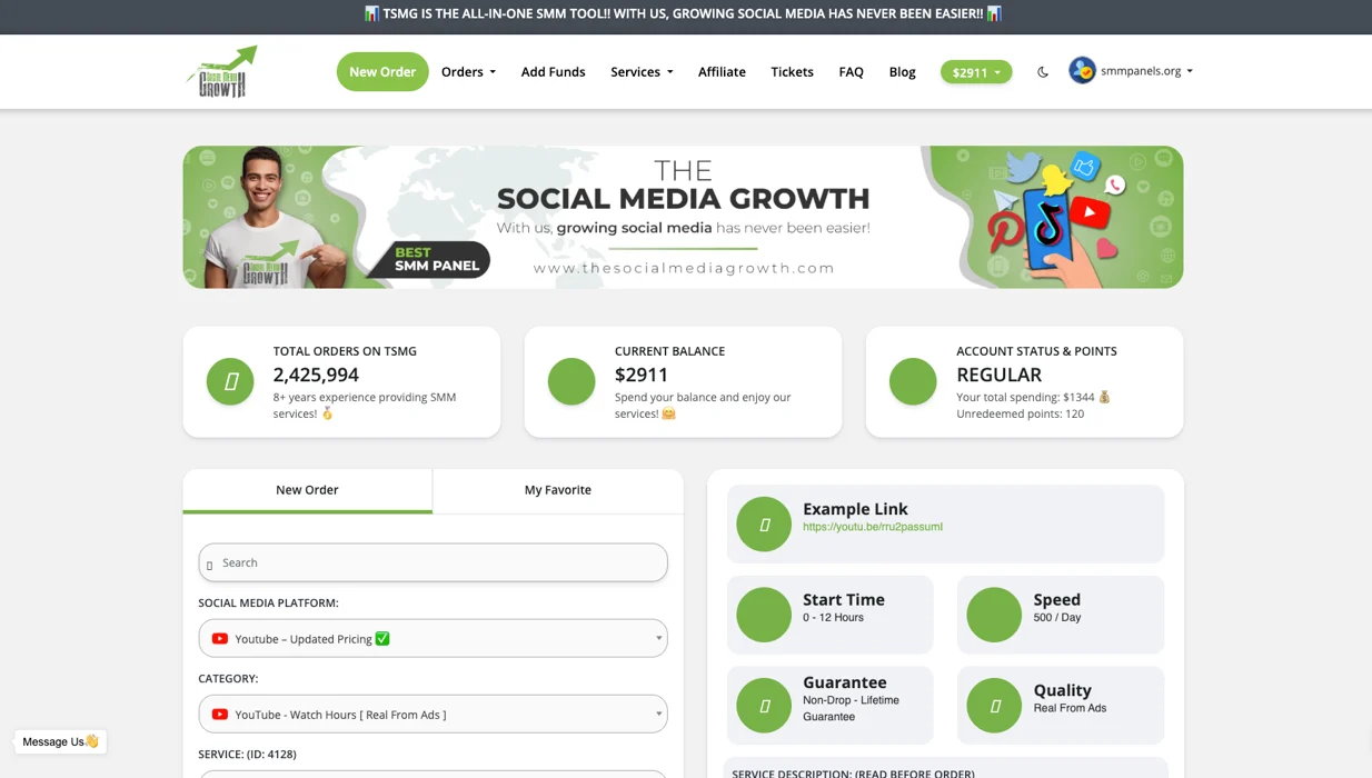 TheSocialMediaGrowth.com Panel Image